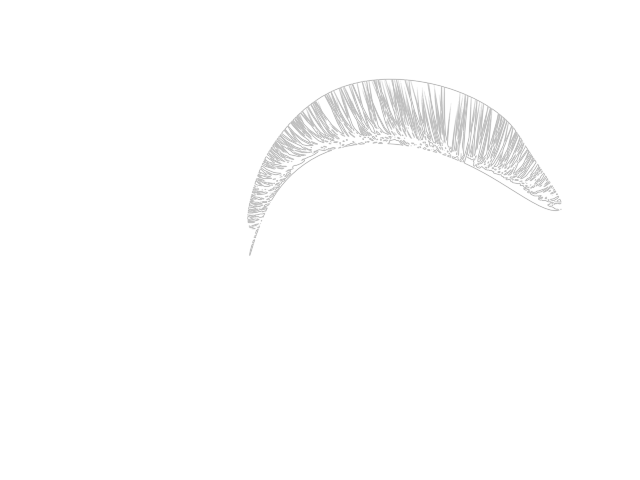 eyelid.png eyelid.png